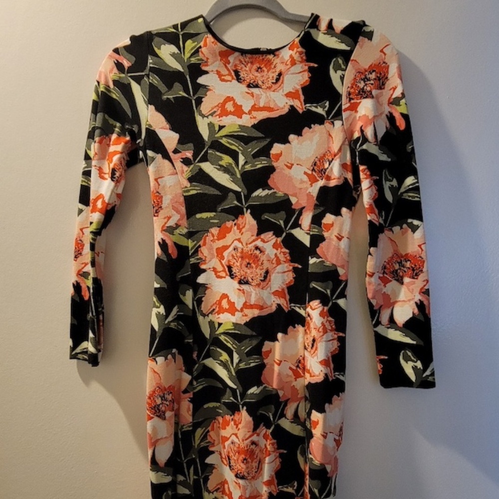 H&M Rose Motif Stretchy Dress